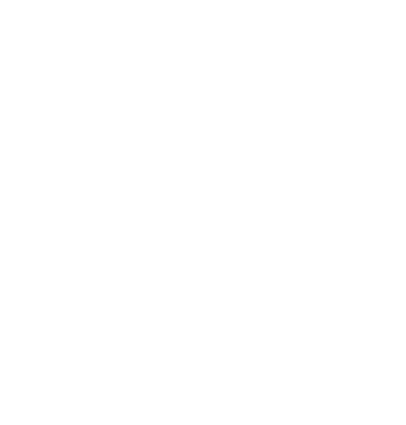 Logo white2